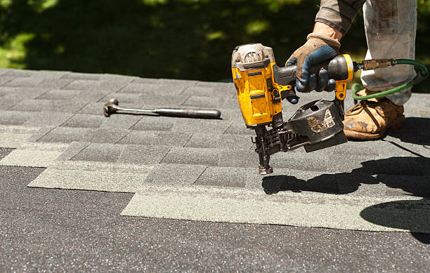 Best Roof Gutter Cleaning  in St Bonaventure, NY